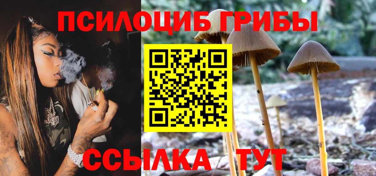 Галлюциногенные грибы прущие грибы Ростов-на-Дону