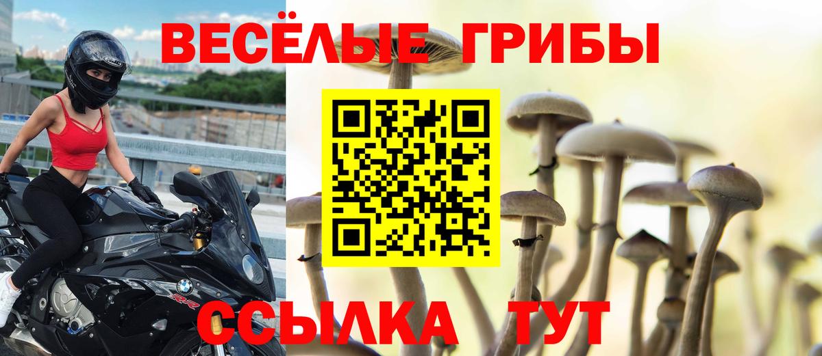 Ростов-на-Дону  Галлюциногенные грибы Psilocybine cubensis  Галлюциногенные грибы мицелий  магазин  наркотиков  Вход с VPN 